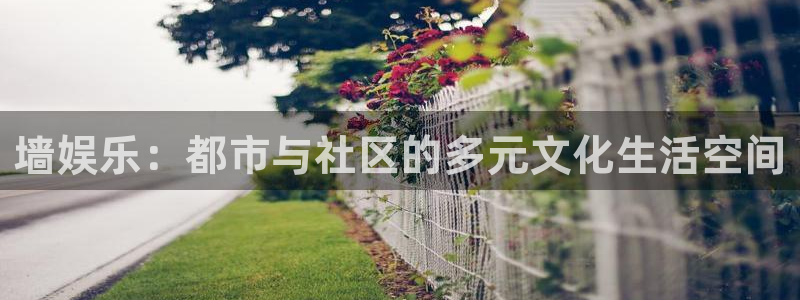 蓝狮娱乐平台：墙娱乐：都市与社区的多元文化生活空间