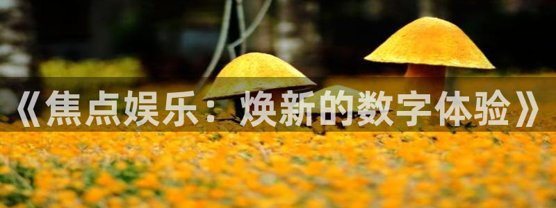 蓝狮娱乐环保：《焦点娱乐：焕新的数字体验》