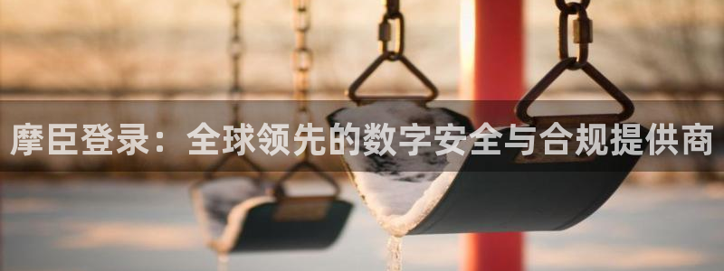 蓝狮娱乐游戏有哪些好玩的：摩臣登录：全球领先的数字安全与合规提供商