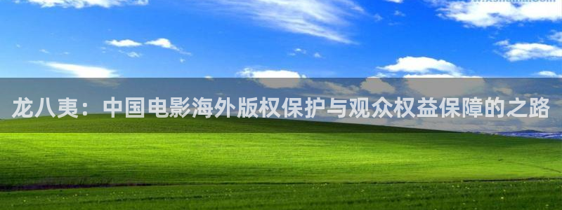 蓝狮娱乐体育f开号：龙八夷：中国电影海外版权保护与观众权益保障的之路