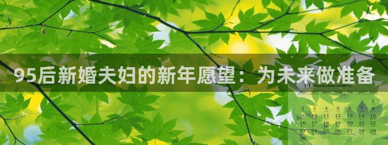 蓝狮娱乐2注册：95后新婚夫妇的新年愿望：为未来做准备