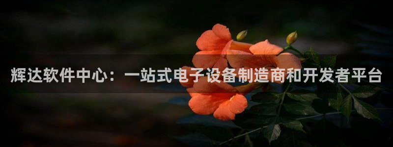 蓝狮娱乐网站登录流程：辉达软件中心：一站式电子设备制造商和开发者平台