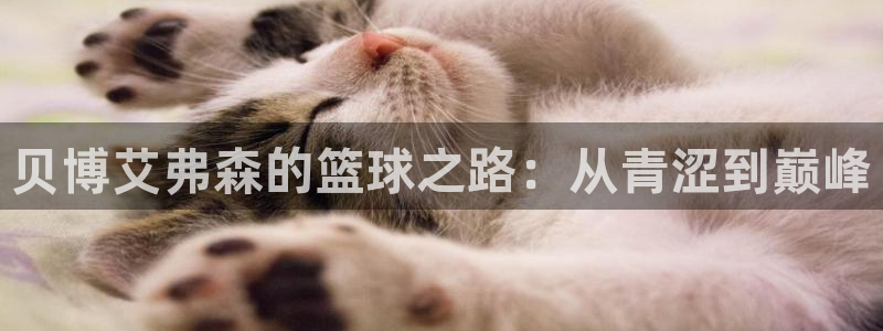 蓝狮娱乐凯捷平台：贝博艾弗森的篮球之路：从青涩到巅峰