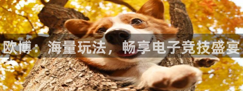 蓝狮娱乐官网注册：欧博：海量玩法，畅享电子竞技盛宴