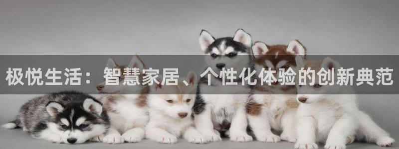 蓝狮娱乐f平台注册：极悦生活：智慧家居、个性化体验的创新典范