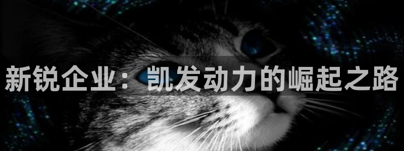 蓝狮娱乐包怎么样：新锐企业：凯发动力的崛起之路