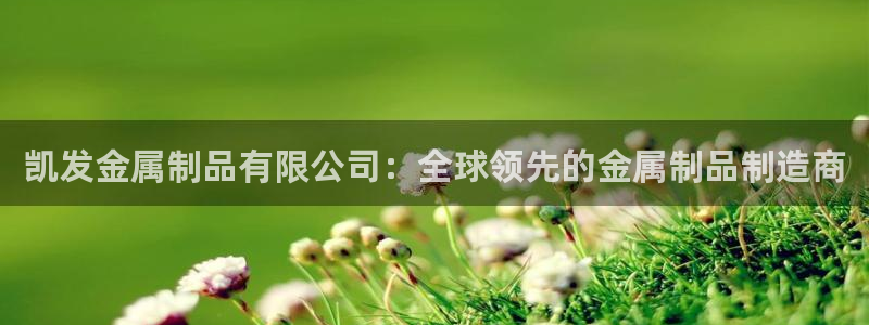 蓝狮娱乐放水时间：凯发金属制品有限公司：全球领先的金属制品制造商