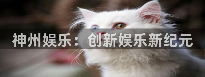 蓝狮娱乐官方网站：神州娱乐：创新娱乐新纪元