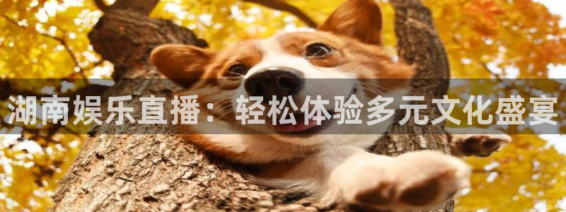 蓝狮娱乐注册网站：湖南娱乐直播：轻松体验多元文化盛宴