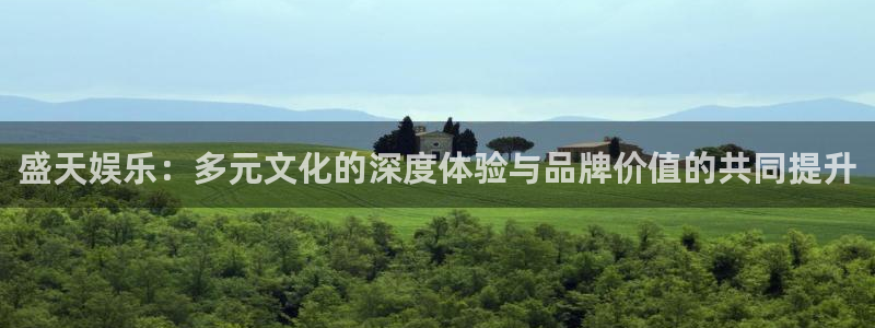 蓝狮娱乐2体育：盛天娱乐：多元文化的深度体验与品牌价值的共同提升