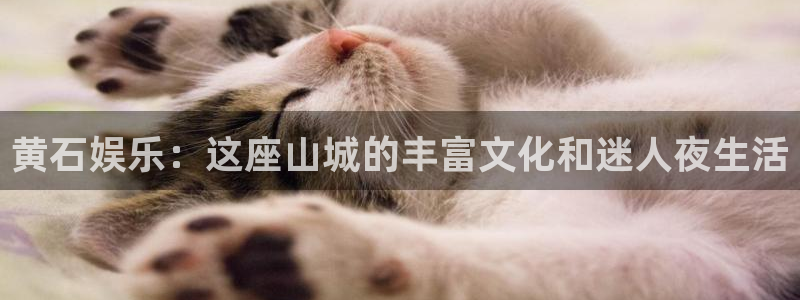 蓝狮娱乐3登陆
