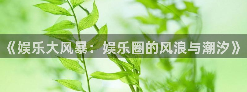 佛山市南海蓝狮娱乐机电仪器有限公司：《娱乐大风暴：娱乐圈的风浪与潮汐》