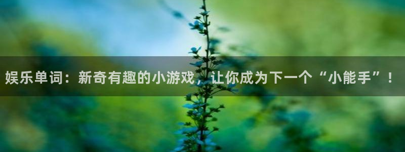 蓝狮娱乐注册：娱乐单词：新奇有趣的小游戏，让你成为下一个“小能手”！