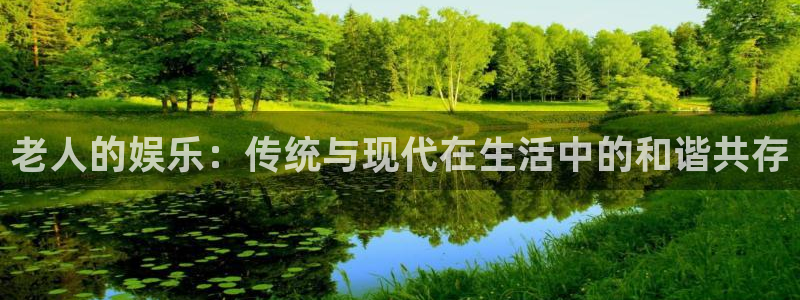 东莞市蓝狮娱乐电子科技有限公司：老人的娱乐：传统与现代在生活中的和谐共存