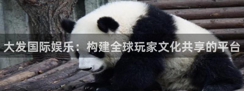 蓝狮娱乐平台登录入口：大发国际娱乐：构建全球玩家文化共享的平台