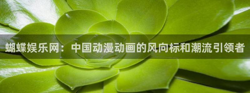 蓝狮娱乐平台：蝴蝶娱乐网：中国动漫动画的风向标和潮流引领者