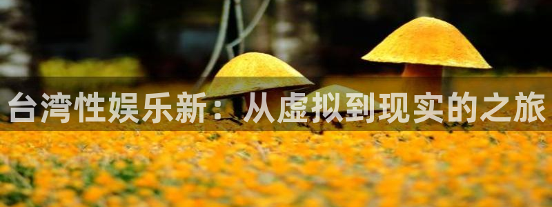 蓝狮娱乐：台湾性娱乐新：从虚拟到现实的之旅