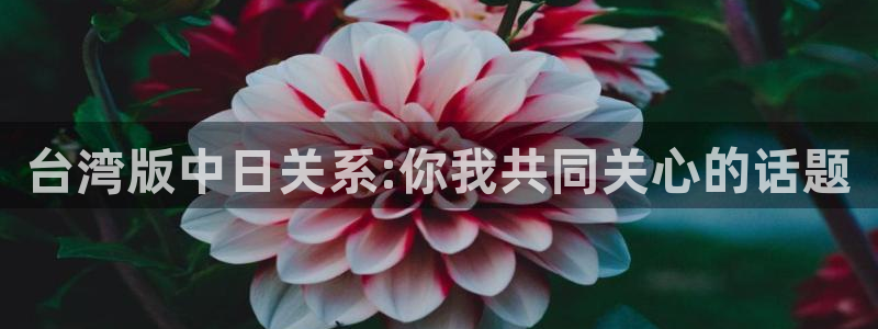蓝狮娱乐下载：台湾版中日关系:你我共同关心的话题