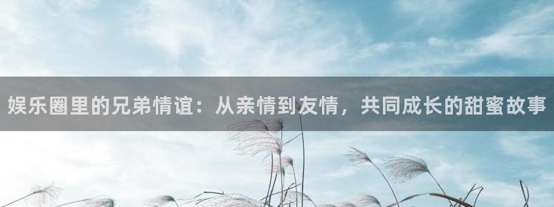 蓝狮娱乐平台管网入口：娱乐圈里的兄弟情谊：从亲情到友情，共同成长的甜蜜故事