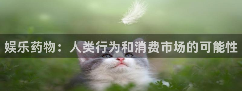 蓝狮娱乐平台主管：娱乐药物：人类行为和消费市场的可能性
