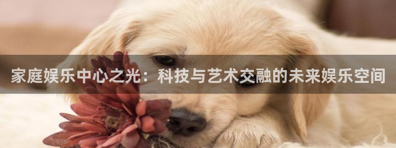 蓝狮娱乐3注册：家庭娱乐中心之光：科技与艺术交融的未来娱乐空间