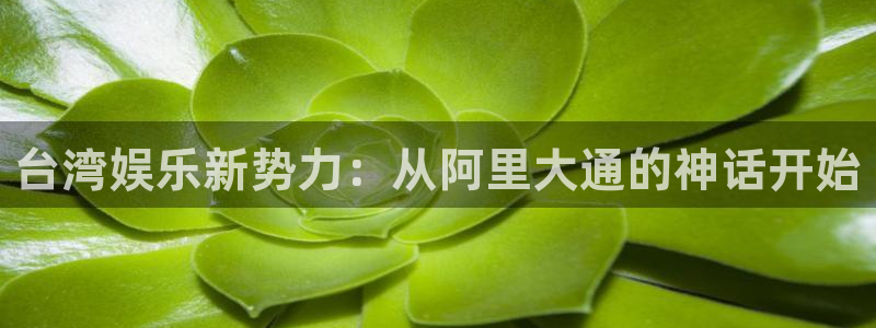 蓝狮娱乐股份：台湾娱乐新势力：从阿里大通的神话开始